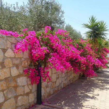 Luxury With Pool Overlooking A Majestic View * Epidaurus