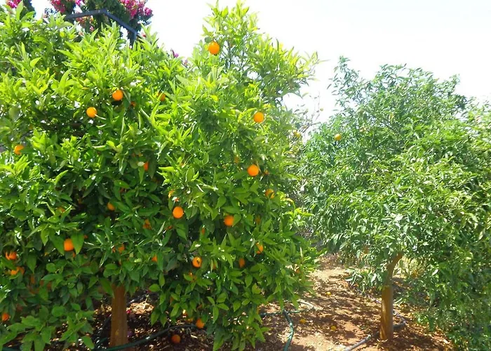 Luxury With Pool Overlooking A Majestic View Epidaurus