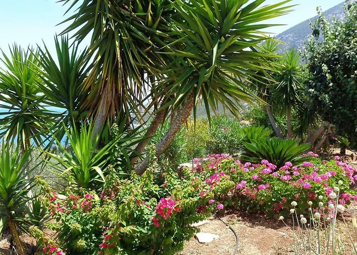 Villa Luxury With Pool Overlooking A Majestic View *