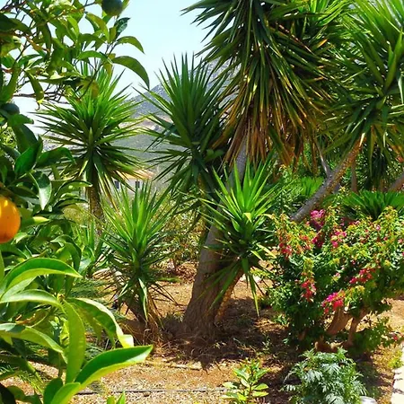 Luxury With Pool Overlooking A Majestic View