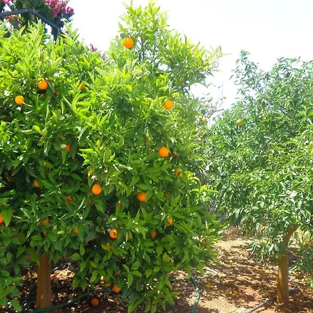 Luxury With Pool Overlooking A Majestic View Epidaurus