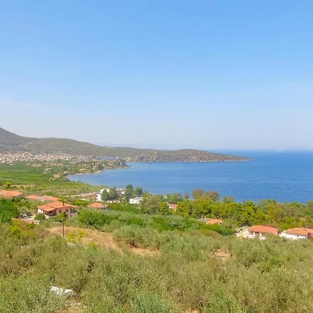 Luxury With Pool Overlooking A Majestic View *