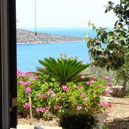 Luxury With Pool Overlooking A Majestic View