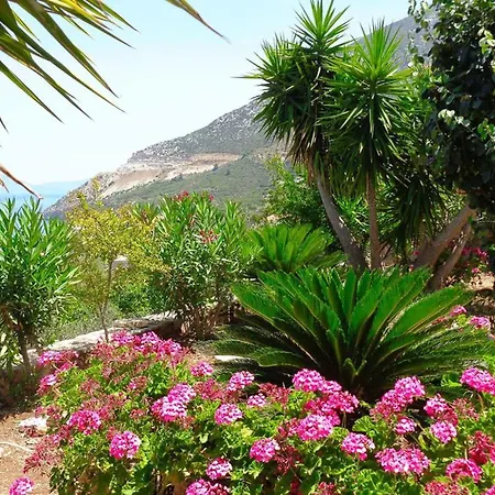 Luxury With Pool Overlooking A Majestic View Villa Epidaurus
