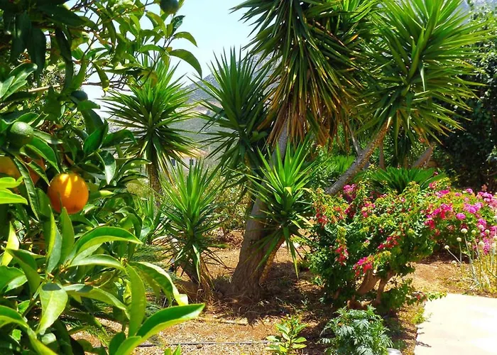 Luxury With Pool Overlooking A Majestic View