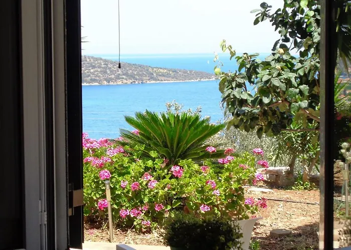 Luxury With Pool Overlooking A Majestic View